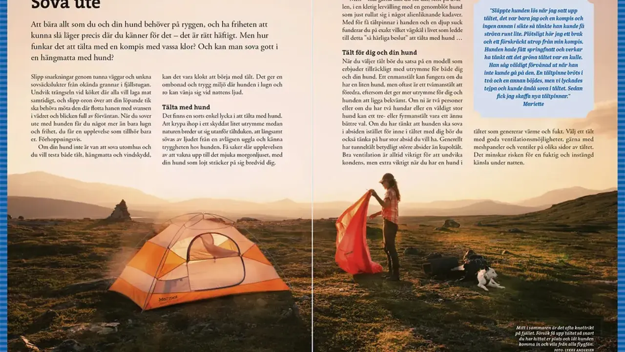 En kvinna sätter upp ett tält i ett naturskönt landskap, med en hund som vilar bredvid. Perfekt för vandra med hund.