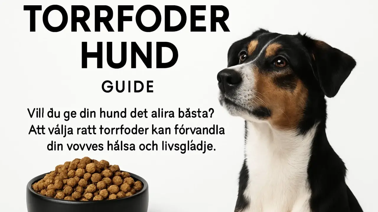 En hund blickar mot en skål med halla petfood. Texten "Torrfoder Hund Guide" och en uppmaning att välja rätt foder för hundens hälsa.