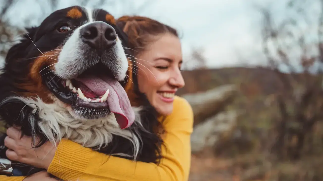 Glad kvinna kramar en stor hund. En perfekt storlek för en trogen vän, som en del av en storleksguide hundraser.