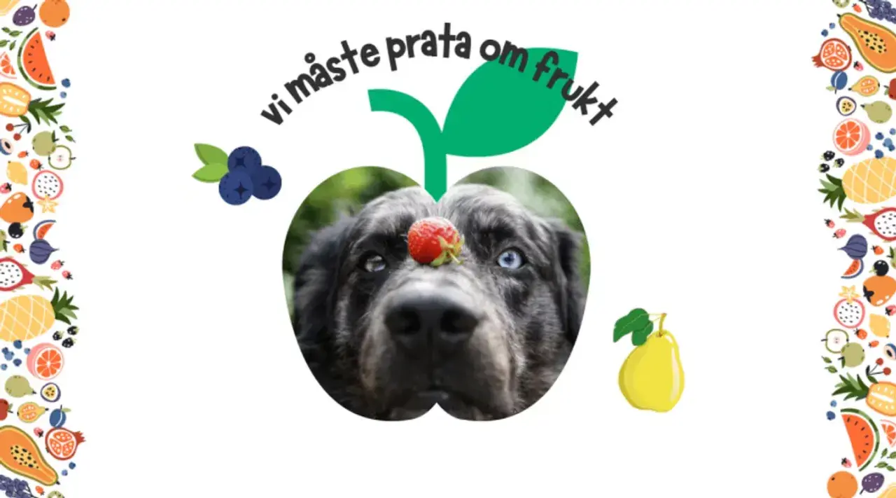 En hund med en jordgubbe på nosen, inramad av frukt. Texten "vi måste prata om frukt" syns ovanför.