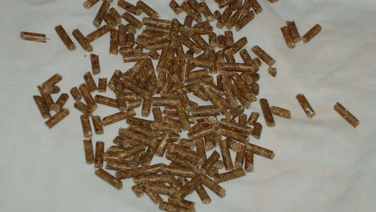 En hög med träpellets, som kan användas som strö eller foder. Frågan "hur mycket pellets ska en kanin ha" är relevant för kaninägare.