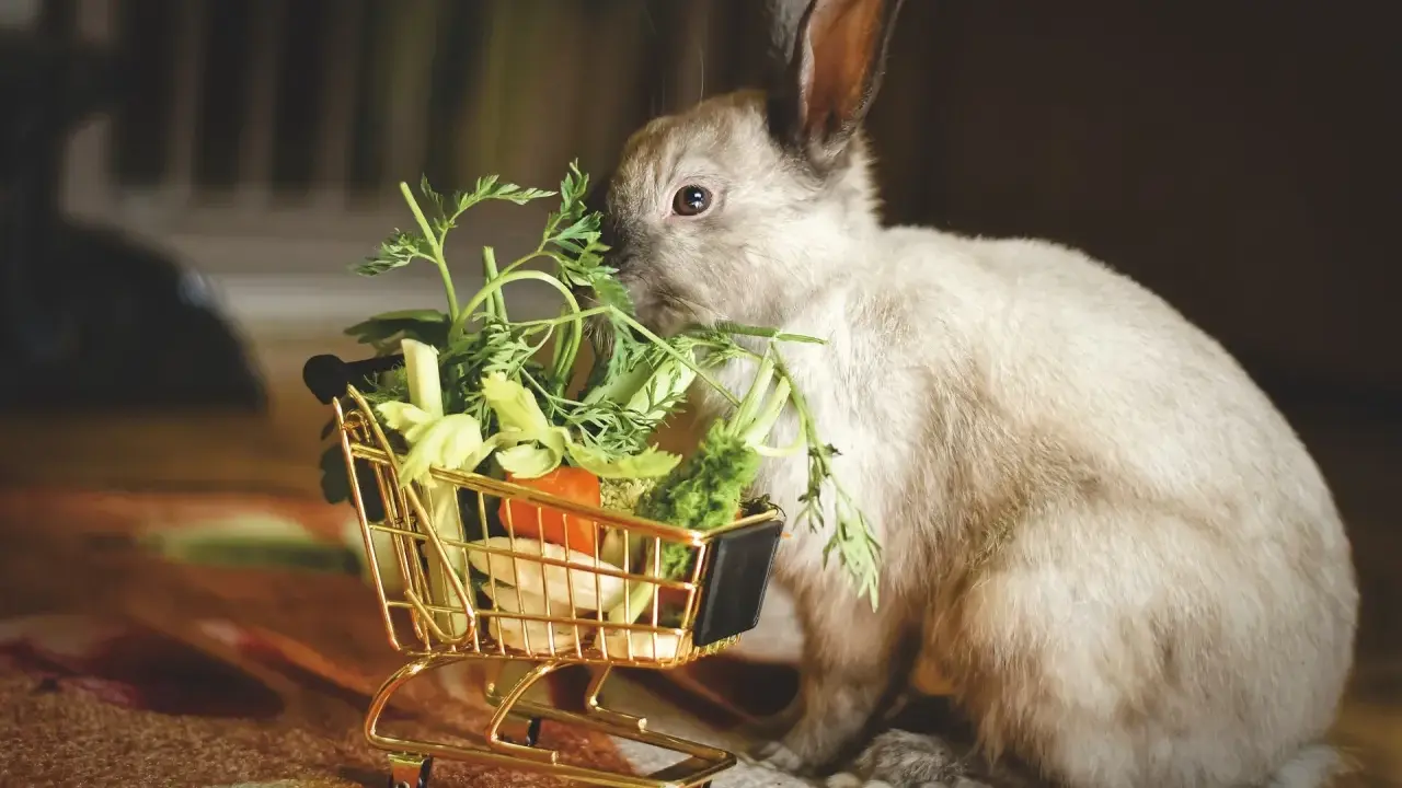 En söt kanin mumsar på färska grönsaker från en miniatyr-shoppingvagn. Bland godsakerna finns bland annat ruccola och morotsblast.