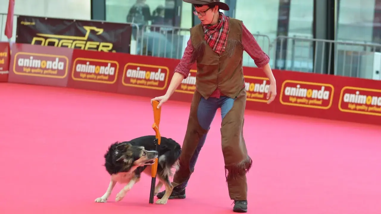 En person klädd som cowboy med en hund som utför ett trick. En del av en hund tricks list.