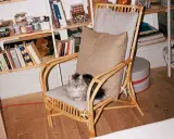 En fluffig, gråvit **inomhus katt** sitter på en korgstol framför en bokhylla fylld med böcker och burkar.