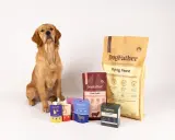 Golden retriever sitter bredvid DogFather-foder. Förpackningar med foder till hund som fiser, som "Flying Feast" och "Farm Feast", samt godis och såser.