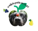En hund med en jordgubbe på nosen, inramad av frukt. Texten "vi måste prata om frukt" syns ovanför.