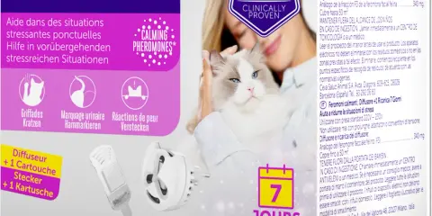 Feliway Help! med lugnande feromoner för stressade katter. En kvinna håller en ragdollkatt. En diffuser och en refill ingår.