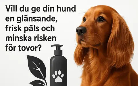 En vacker hund med glänsande päls. Bilden visar en flaska med hundschampo och en text som frågar om du vill reda ut tovor hos din hund.