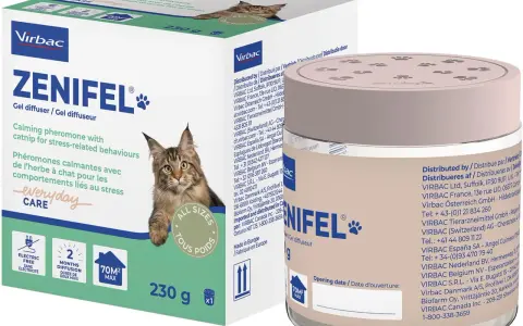 Zenifel-diffusor med lugnande feromoner för stressade katter. Ger en trygghetskänsla, som ett comfort shield katt.