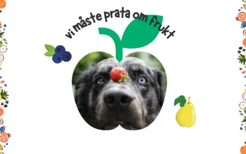 En hund med en jordgubbe på nosen, inramad av frukt. Texten "vi måste prata om frukt" syns ovanför.