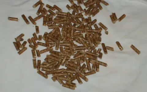En hög med träpellets, som kan användas som strö eller foder. Frågan "hur mycket pellets ska en kanin ha" är relevant för kaninägare.