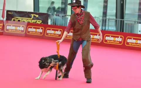 En person klädd som cowboy med en hund som utför ett trick. En del av en hund tricks list.