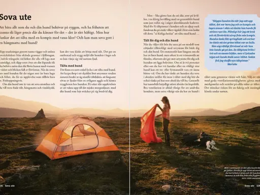 En kvinna sätter upp ett tält i ett naturskönt landskap, med en hund som vilar bredvid. Perfekt för vandra med hund.