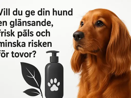 En vacker hund med glänsande päls. Bilden visar en flaska med hundschampo och en text som frågar om du vill reda ut tovor hos din hund.