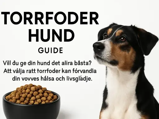 En hund blickar mot en skål med halla petfood. Texten "Torrfoder Hund Guide" och en uppmaning att välja rätt foder för hundens hälsa.