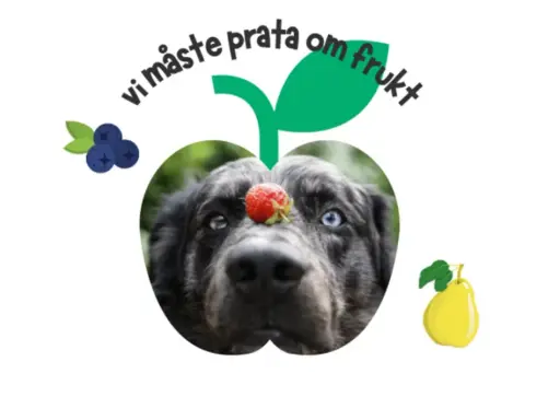 En hund med en jordgubbe på nosen, inramad av frukt. Texten "vi måste prata om frukt" syns ovanför.
