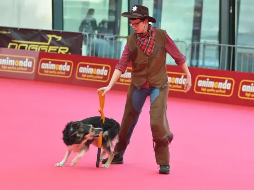 En person klädd som cowboy med en hund som utför ett trick. En del av en hund tricks list.