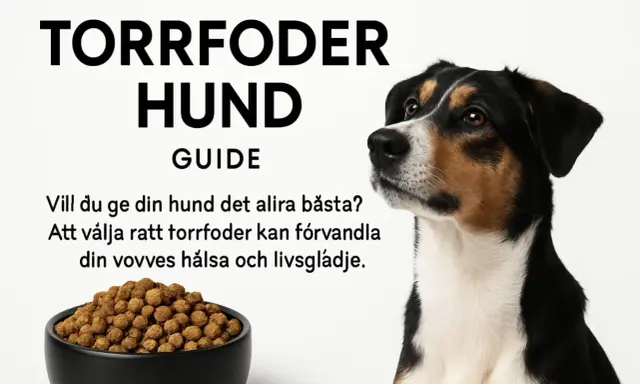 En hund blickar mot en skål med halla petfood. Texten "Torrfoder Hund Guide" och en uppmaning att välja rätt foder för hundens hälsa.