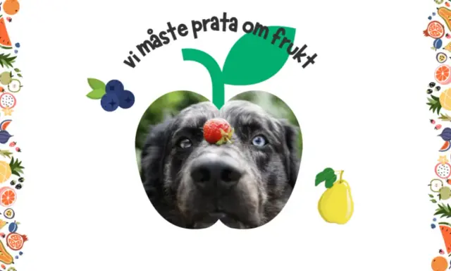 En hund med en jordgubbe på nosen, inramad av frukt. Texten "vi måste prata om frukt" syns ovanför.
