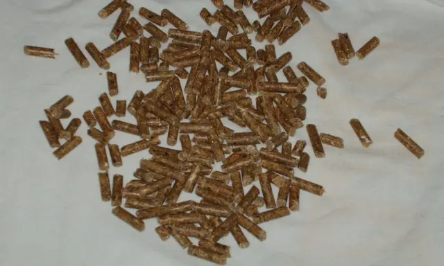 En hög med träpellets, som kan användas som strö eller foder. Frågan "hur mycket pellets ska en kanin ha" är relevant för kaninägare.