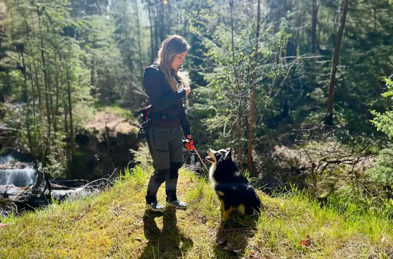 Kvinna och hund njuter av en härlig vandring med hund i en solig skog. Vattenfall i bakgrunden.