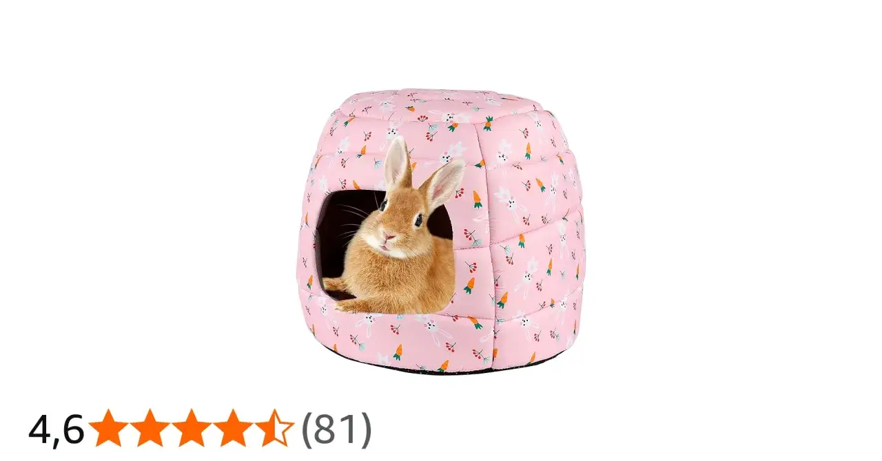 En s&ouml;t kanin tittar ut fr&aring;n sitt rosa hus med morotsm&ouml;nster. L&auml;r dig hur man tar hand om en kanin f&ouml;r att ge den ett lyckligt liv.