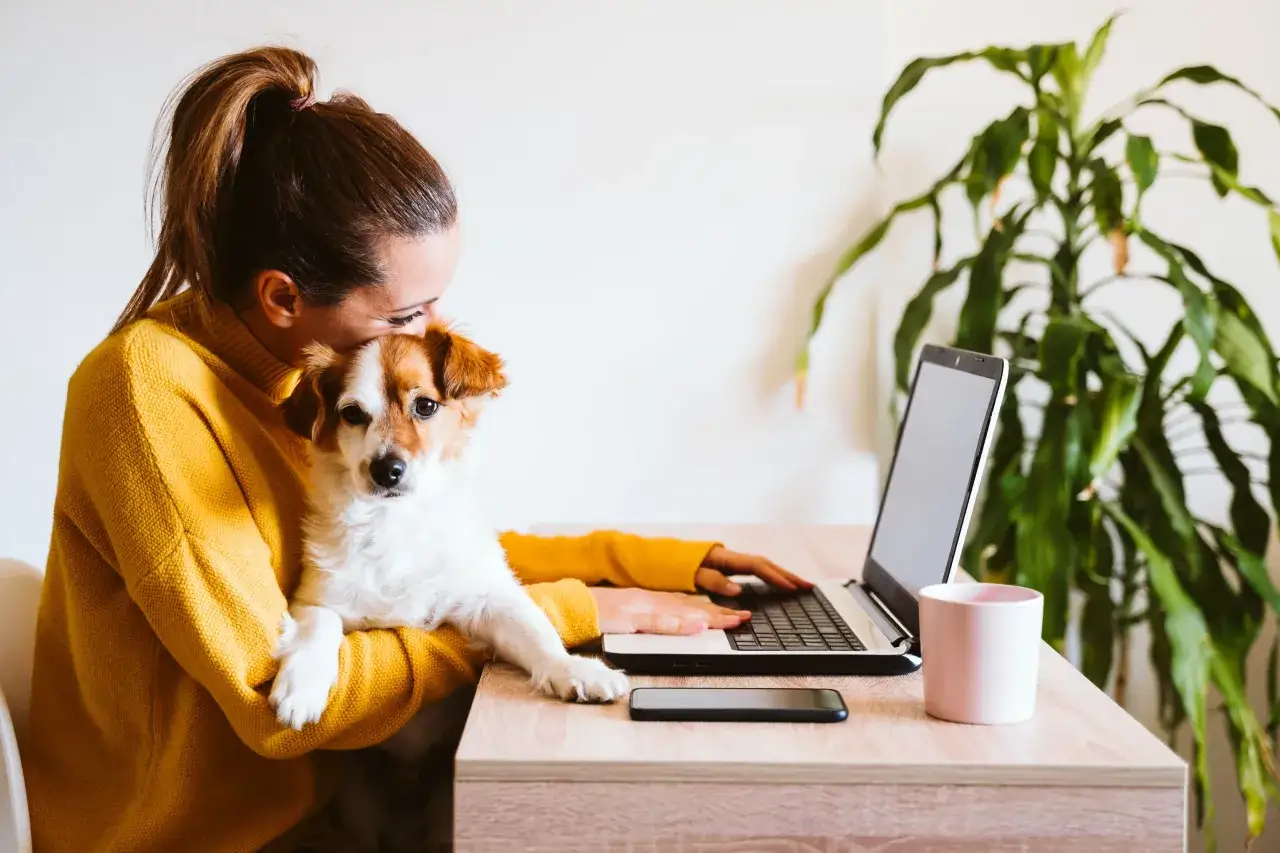 En kvinna med en hund på kontoret, hon arbetar vid en laptop med sin hund i famnen.