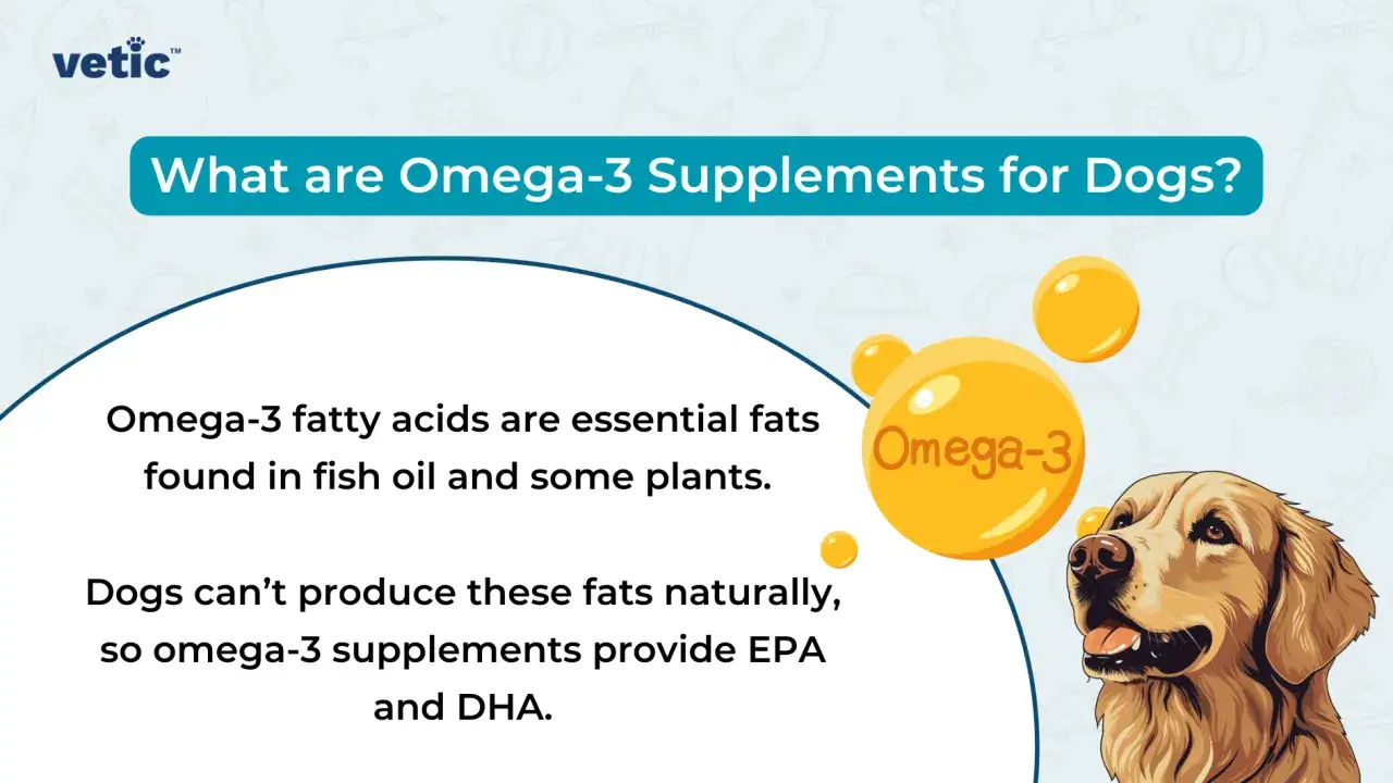 En glad hund tittar upp mot en stor Omega-3-droppe. Texten f&ouml;rklarar att fiskolja &auml;r bra f&ouml;r hundar.