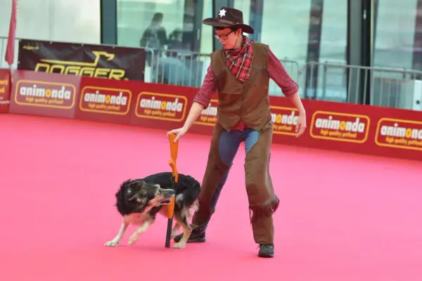 En person klädd som cowboy med en hund som utför ett trick. En del av en hund tricks list.